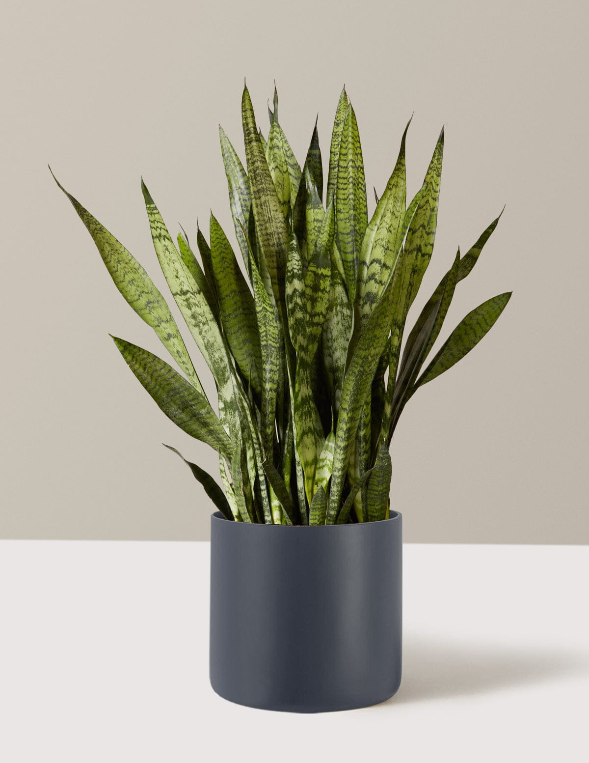 PART 2: Comfort Upgrades - "Now That You're Sleeping..."